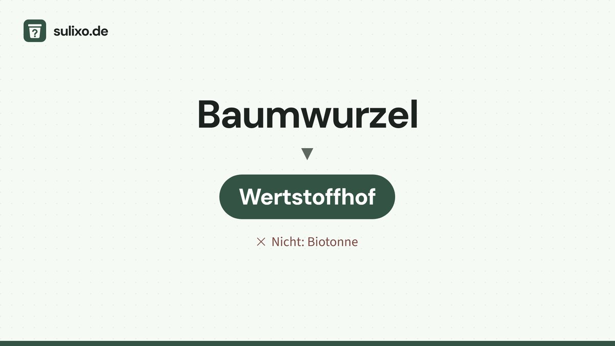 Baumwurzel: Wertstoffhof
