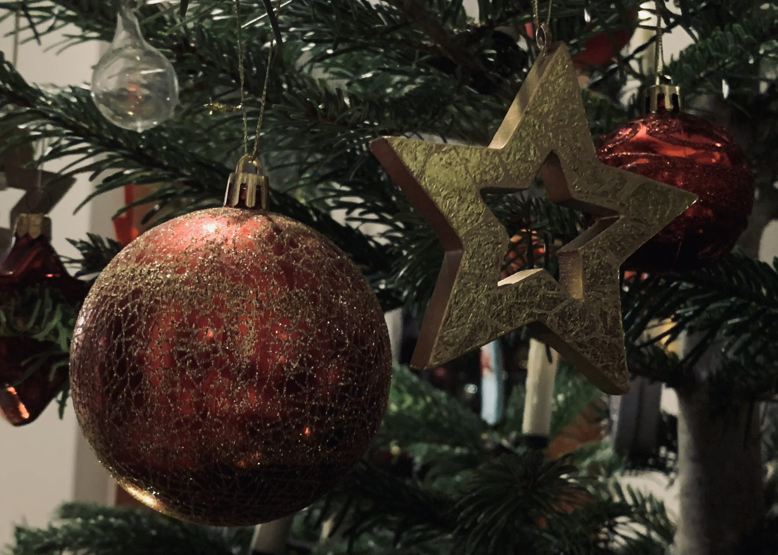 Eine rote Christbaumkugel und ein goldener Weihnachtsstern am Weihnachtsbaum